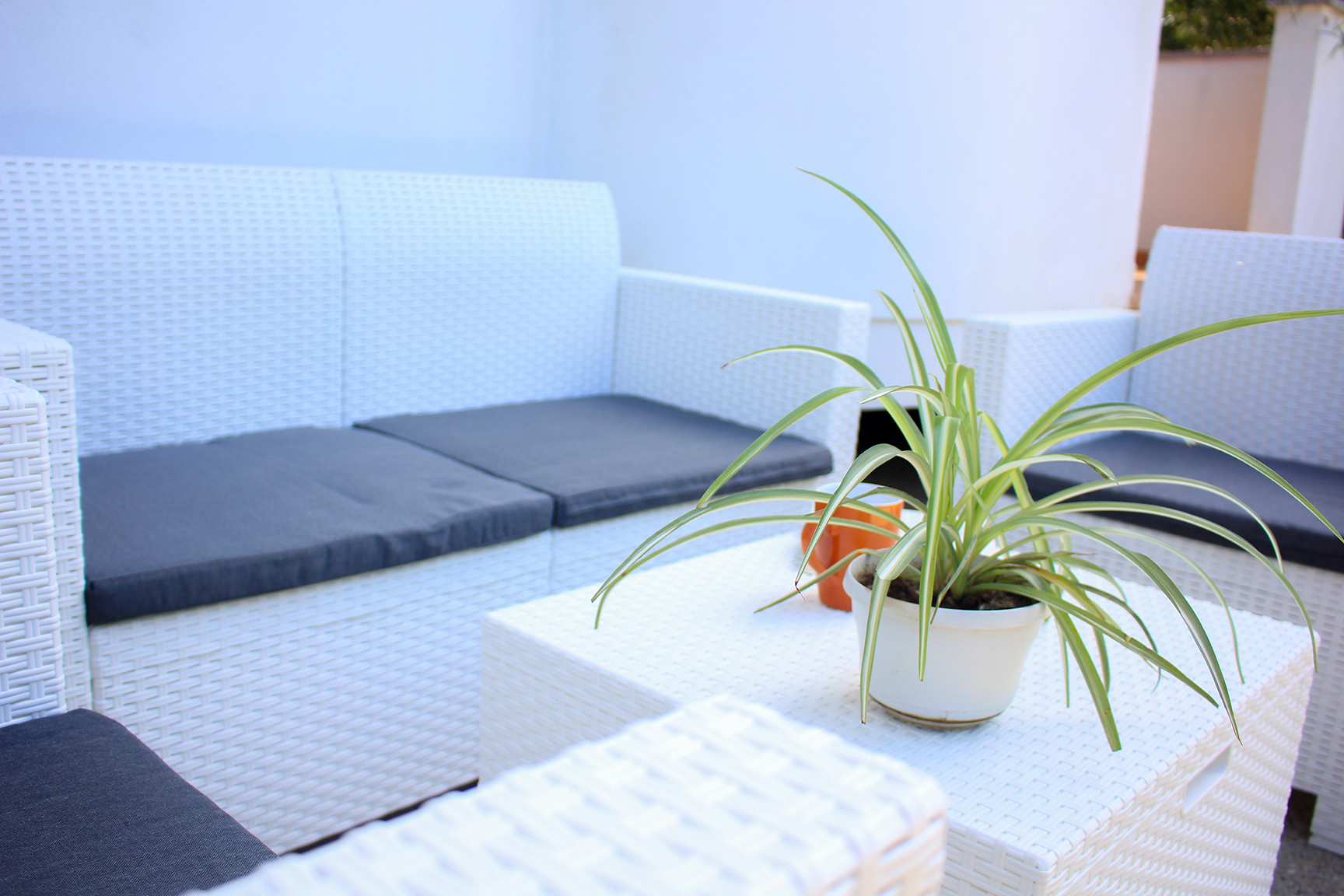 placeholder image-sq