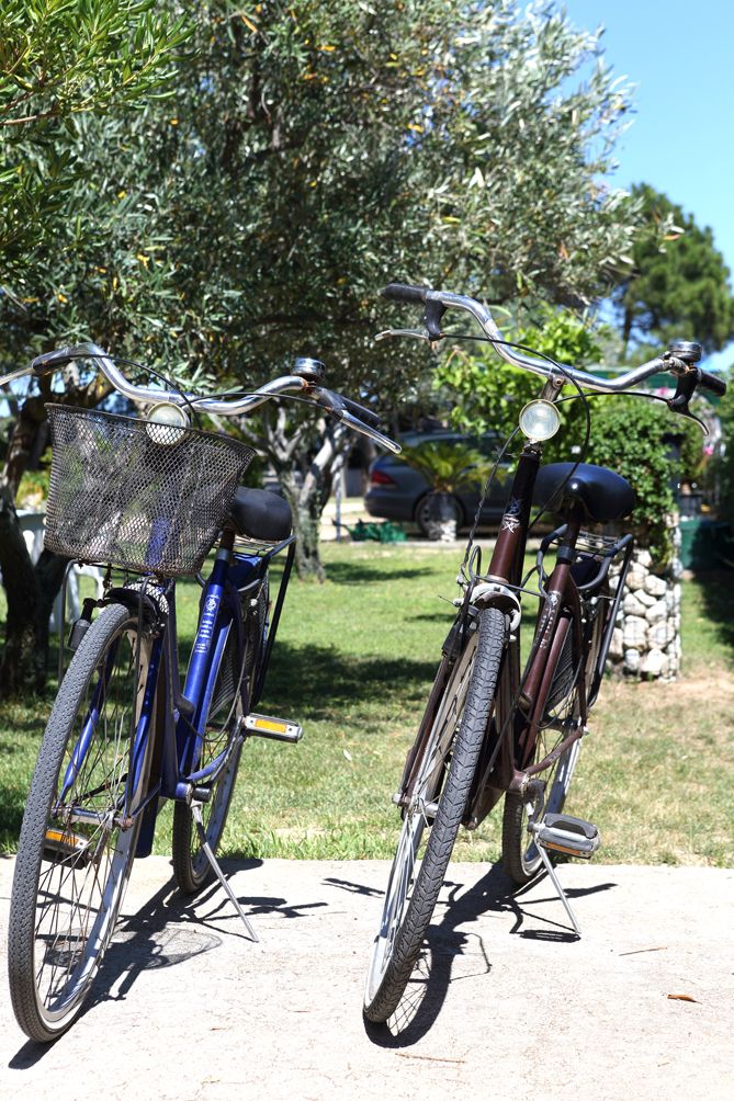 Bike Free